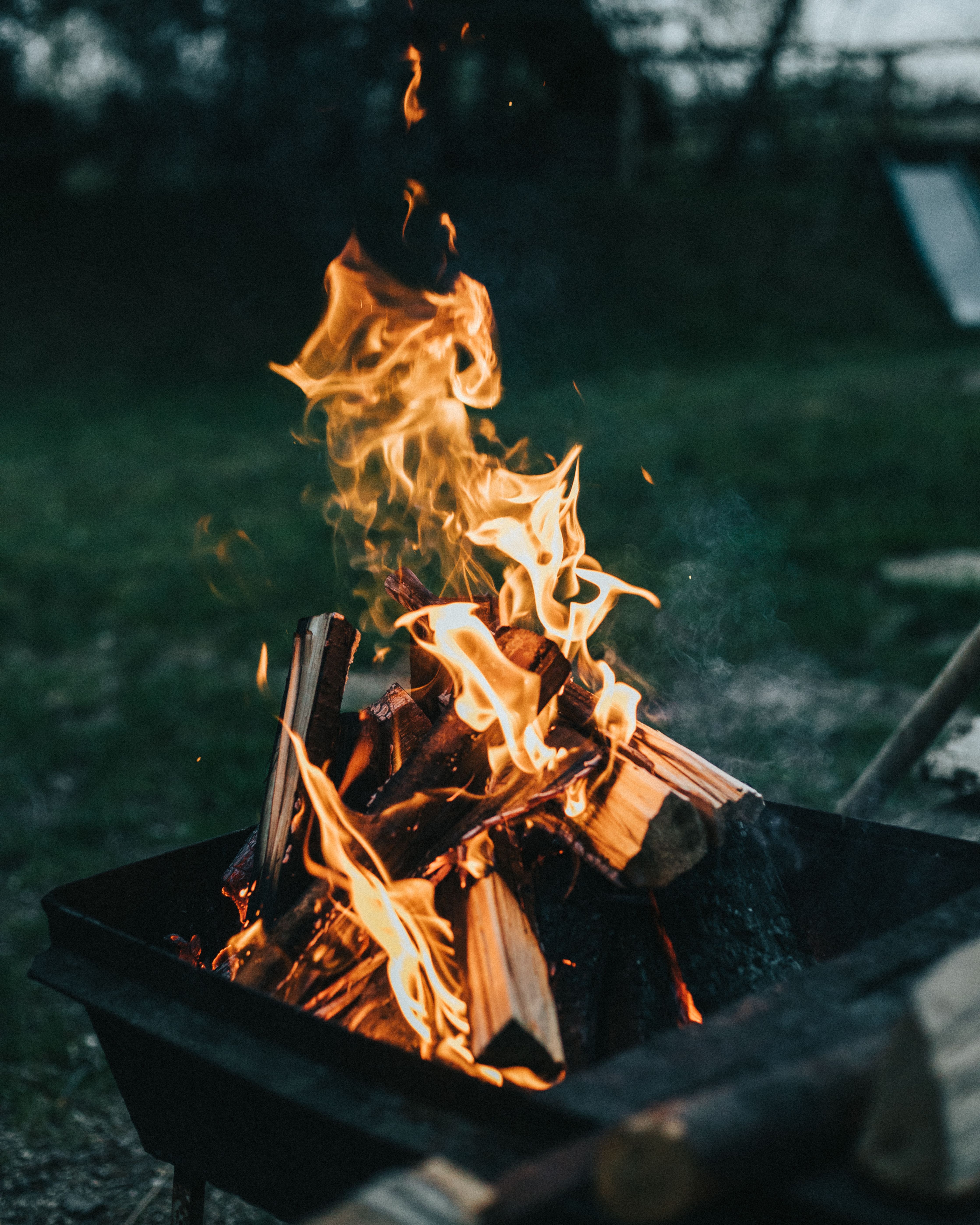 Campfire Nights